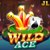 Wild Ace ppgaming login slot game